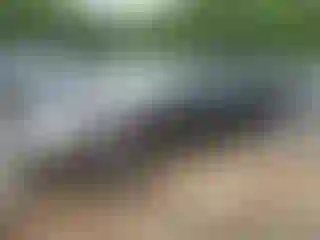 Vehicle Image- 2004 Toyota Camry