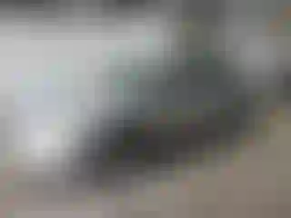 Vehicle Image- 2006 Toyota Camry