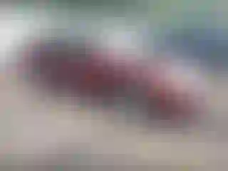 Vehicle Image- 2004 Toyota Camry