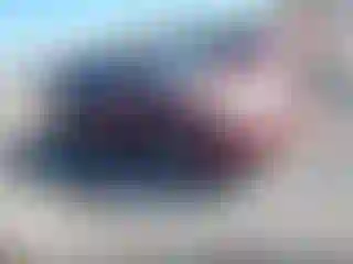 Vehicle Image- 2006 Toyota Camry