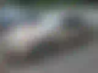 Vehicle Image- 2003 Toyota Camry