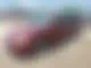 Vehicle Image- 2003 Toyota Camry