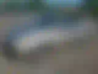 Vehicle Image- 2004 Toyota Camry