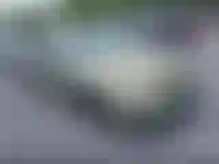 Vehicle Image- 2006 Toyota Camry