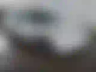 Vehicle Image- 2003 Toyota Camry