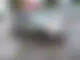 Vehicle Image- 2003 Toyota Camry