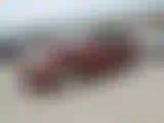 Vehicle Image- 2004 Toyota Camry