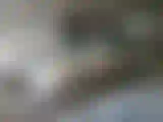 Vehicle Image- 2005 Toyota Camry