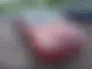 Vehicle Image- 2006 Toyota Camry