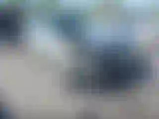 Vehicle Image- 2003 Toyota Camry