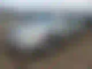Vehicle Image- 2004 Toyota Camry