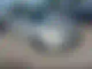 Vehicle Image- 2004 Toyota Camry