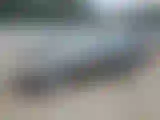 Vehicle Image- 2004 Toyota Camry