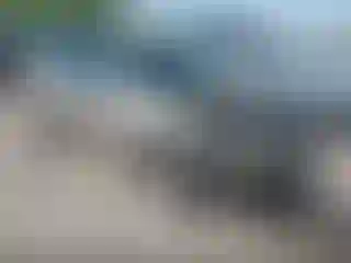 Vehicle Image- 2005 Toyota Camry