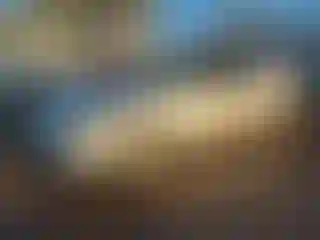 Vehicle Image- 2005 Toyota Camry