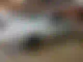 Vehicle Image- 2005 Toyota Camry
