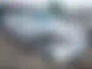 Vehicle Image- 2007 Toyota Camry