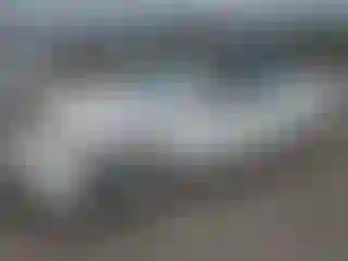 Vehicle Image- 2007 Toyota Camry