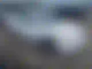 Vehicle Image- 2007 Toyota Camry