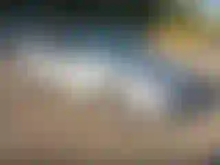 Vehicle Image- 2007 Toyota Camry
