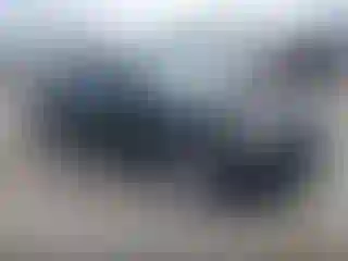 Vehicle Image- 2007 Toyota Camry