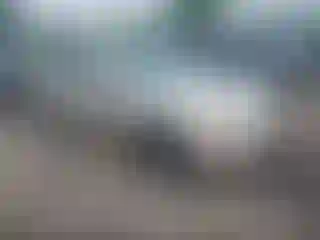 Vehicle Image- 2007 Toyota Camry