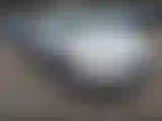 Vehicle Image- 2008 Toyota Camry