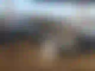 Vehicle Image- 2007 Toyota Camry