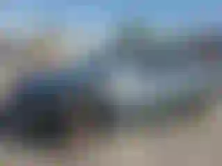 Vehicle Image- 2007 Toyota Camry
