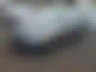 Vehicle Image- 2008 Toyota Camry