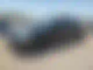 Vehicle Image- 2009 Toyota Camry