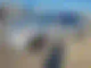 Vehicle Image- 2009 Toyota Camry