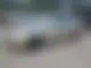 Vehicle Image- 2007 Toyota Camry