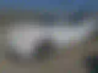 Vehicle Image- 2009 Toyota Camry