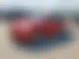 Vehicle Image- 2007 Toyota Camry