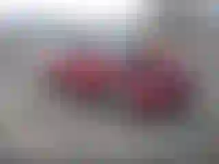 Vehicle Image- 2007 Toyota Camry
