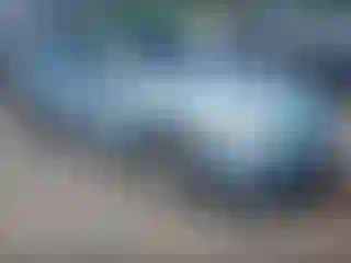 Vehicle Image- 2007 Toyota Camry
