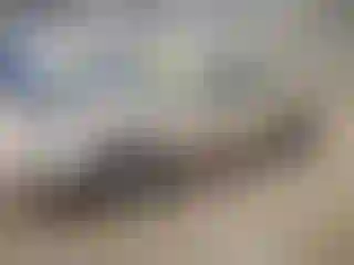Vehicle Image- 2007 Toyota Camry