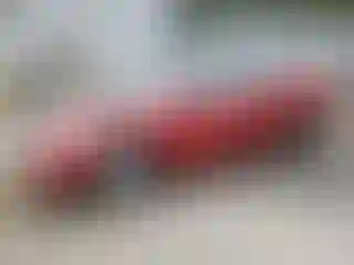 Vehicle Image- 2008 Toyota Camry