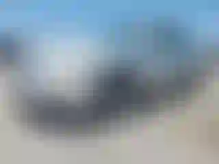 Vehicle Image- 2008 Toyota Camry