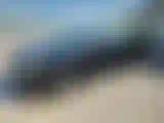 Vehicle Image- 2007 Toyota Camry