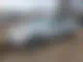 Vehicle Image- 2007 Toyota Camry