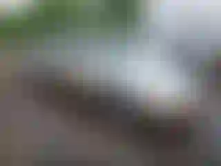 Vehicle Image- 1997 Toyota Avalon