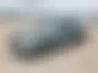 Vehicle Image- 1998 Toyota Avalon