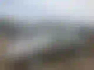 Vehicle Image- 1998 Toyota Avalon