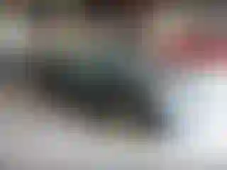 Vehicle Image- 2012 Toyota Camry