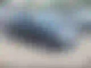 Vehicle Image- 2015 Toyota Camry