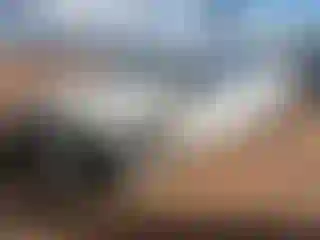 Vehicle Image- 2012 Toyota Camry