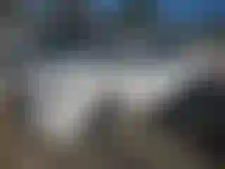 Vehicle Image- 2015 Toyota Camry