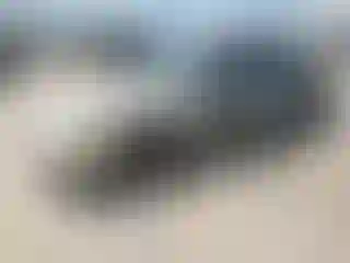 Vehicle Image- 1997 Toyota Camry